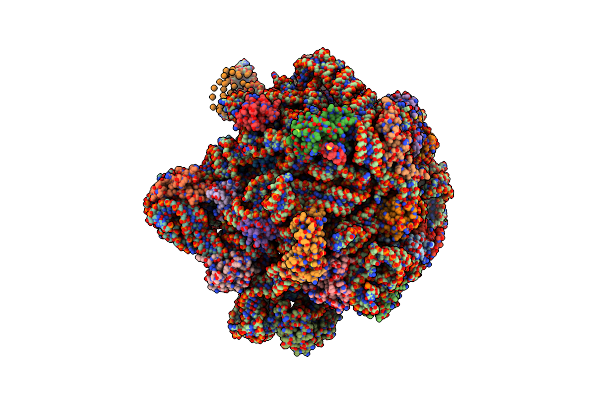 3BBX image