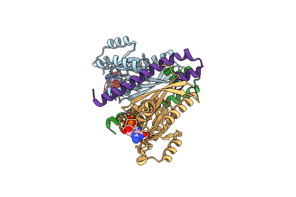 3BC1 image