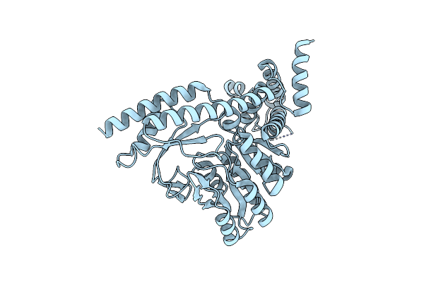 3BCA image