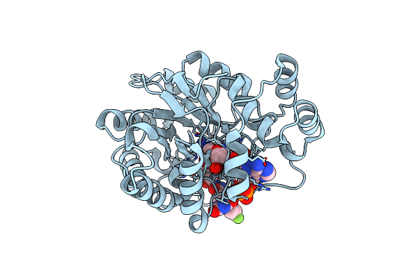 3BCJ image