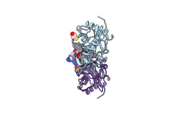 3BCN image
