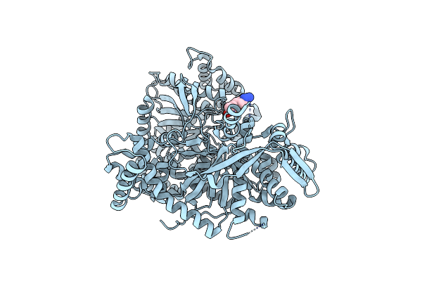 3BCR image