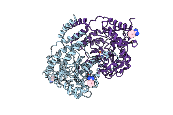 3BCX image
