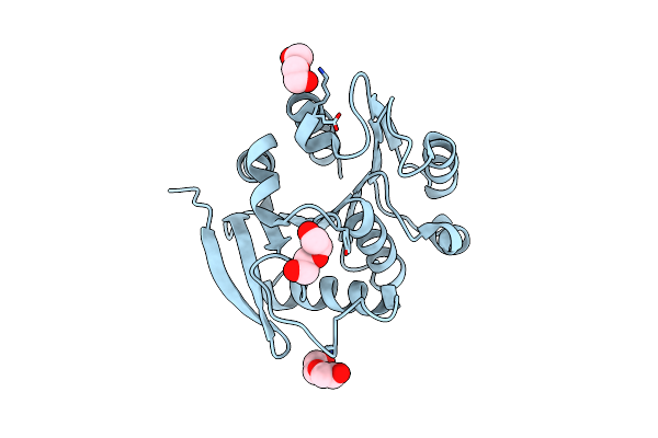 3BDI image