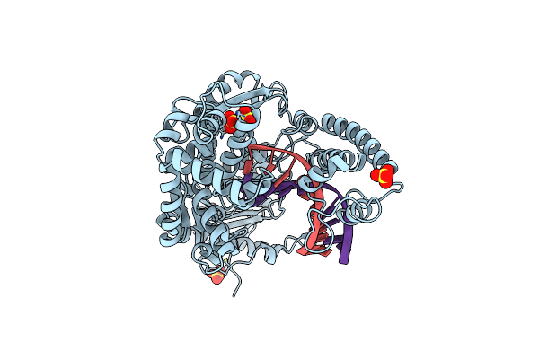 3BDP image