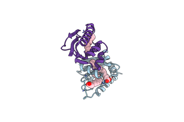 3BDQ image