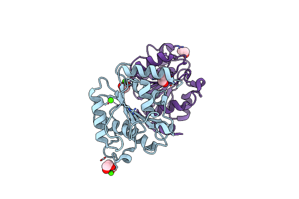 3BDV image