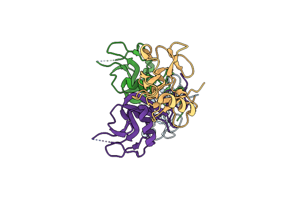 3BDW image