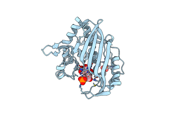 3BFI image