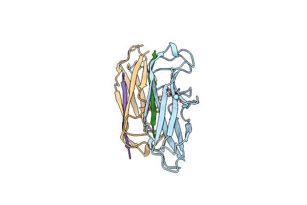 3BFW image