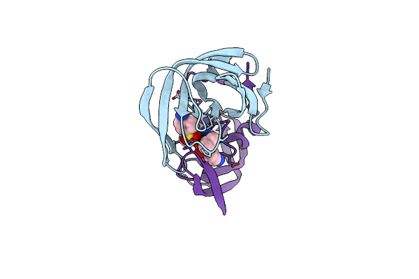 3BGB image