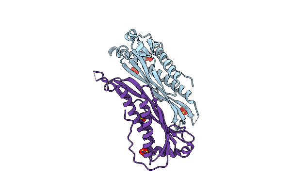3BGH image