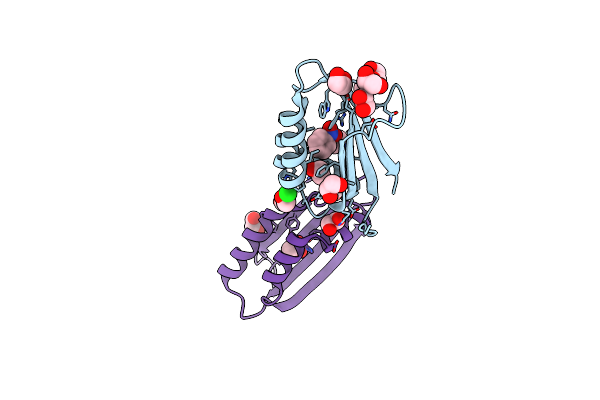 3BGU image