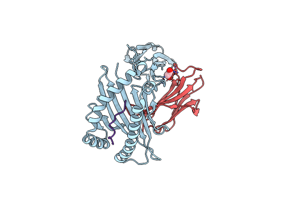 3BHB image