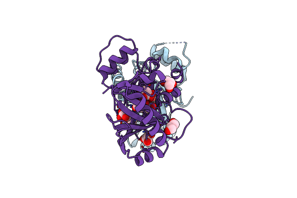 3BHD image