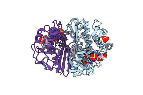 3BHL image