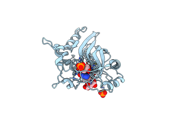 3BHR image