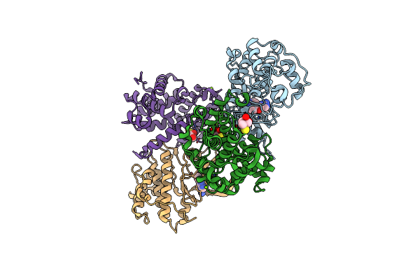 3BHV image