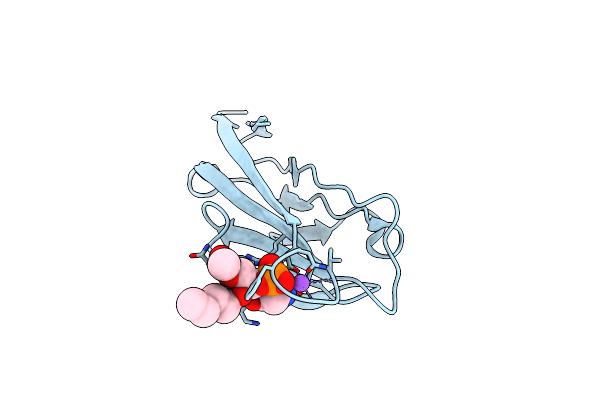 3BIB image