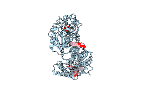 3BIF image