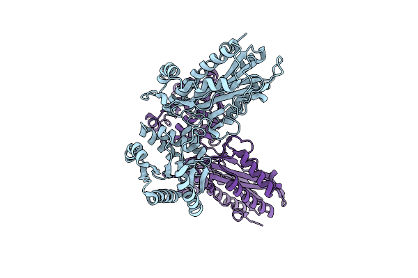 3BIP image