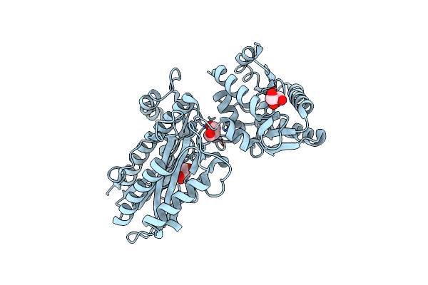 3BIQ image