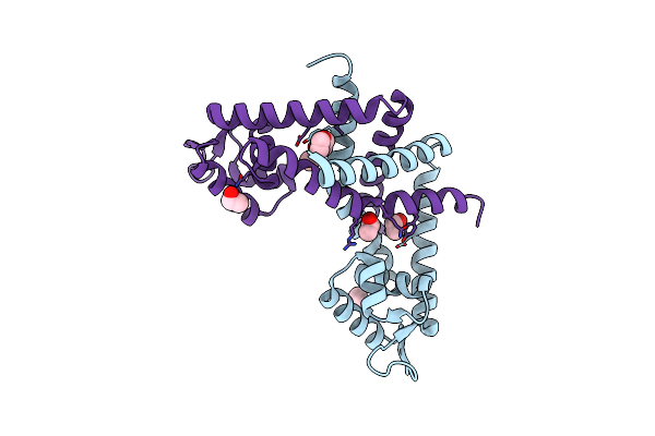 3BJ6 image