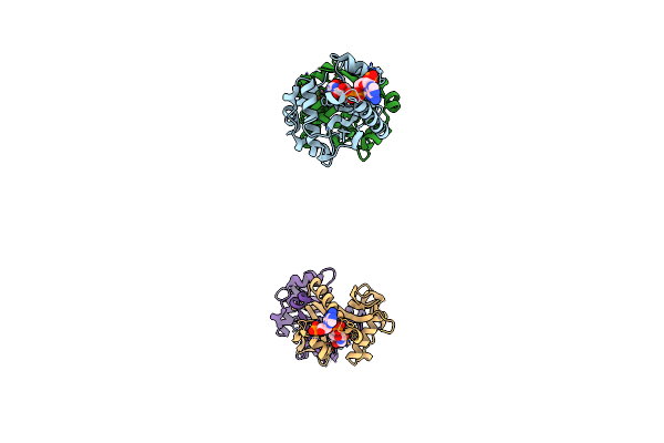 3BJ7 image