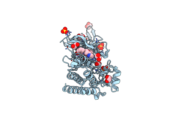 3BKB image