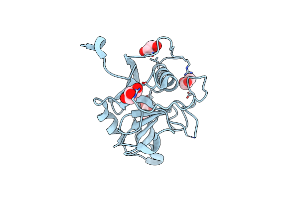 3BKP image