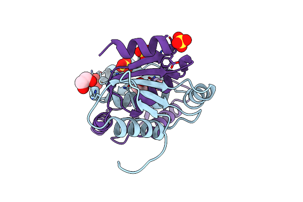 3BL4 image