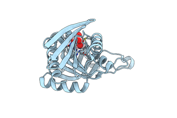 3BL6 image