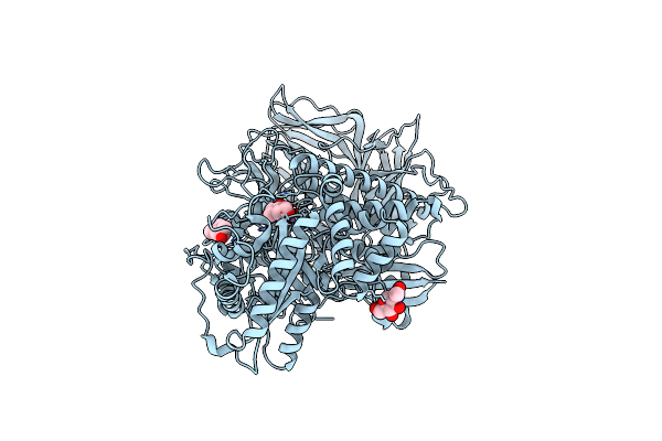 3BLB image