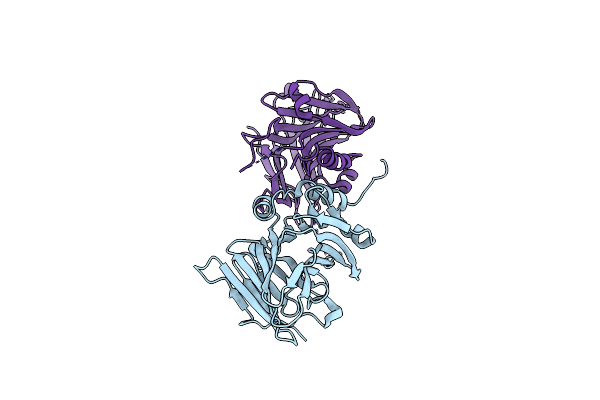 3BLC image