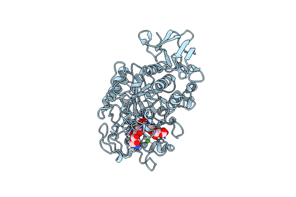 3BLP image