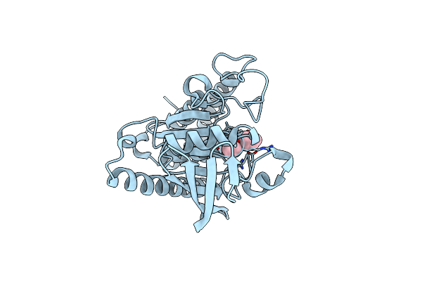 3BLT image
