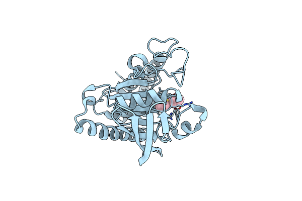 3BLU image