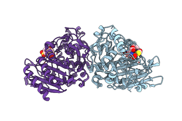3BM6 image