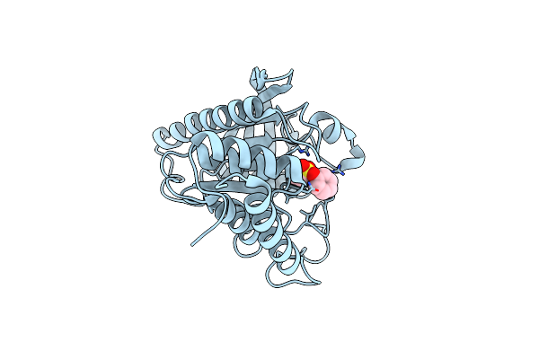 3BM8 image