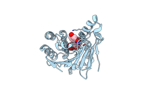 3BM9 image