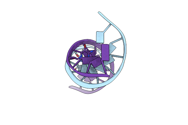 3BNA image