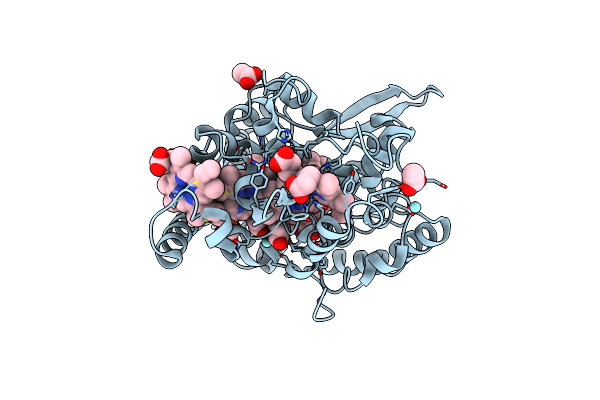 3BNH image