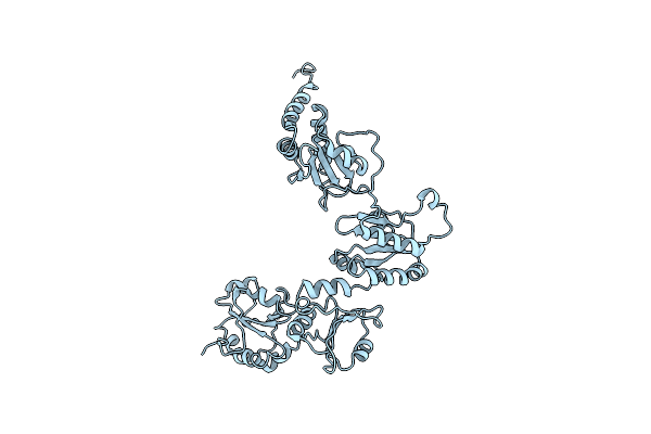3BOA image