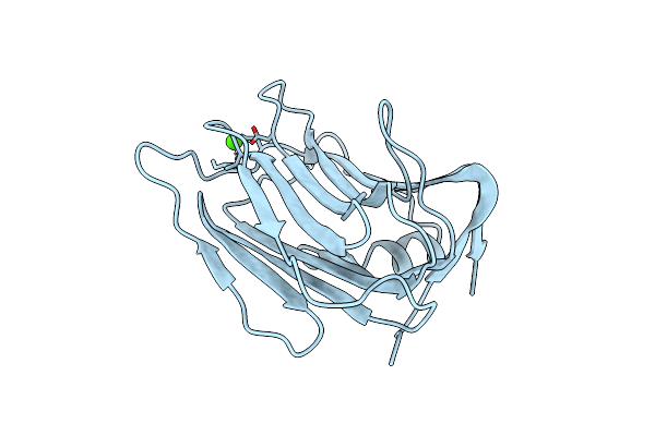 3BOD image