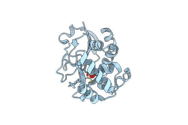3BOE image