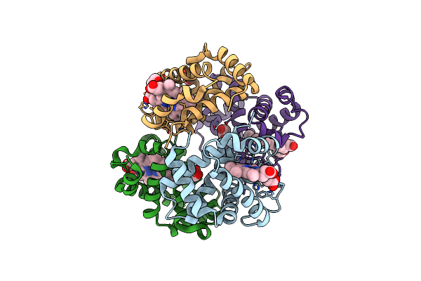 3BOM image