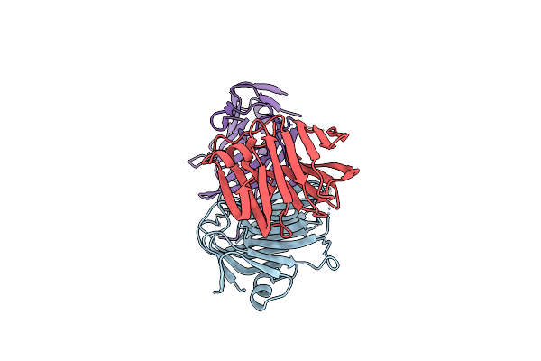 3BOP image