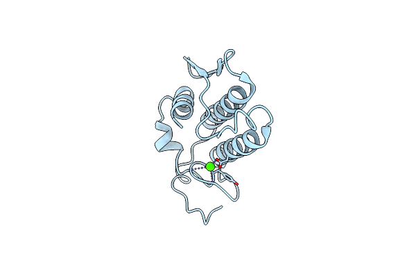 3BP2 image