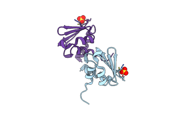 3BP3 image