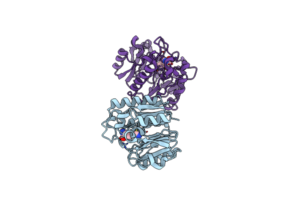 3BPB image